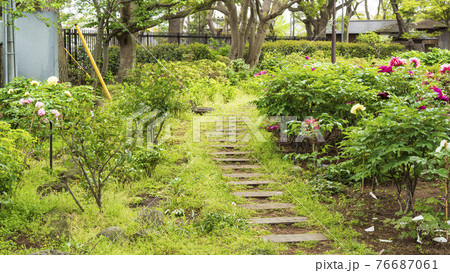 神奈川県横浜市金沢区野島公園にある伊藤博文別邸の春 神奈川県横浜市金沢区野島公園にある伊藤博文別邸の春 76687061