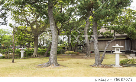 神奈川県横浜市金沢区野島公園にある伊藤博文別邸の春 神奈川県横浜市金沢区野島公園にある伊藤博文別邸の春 76687075