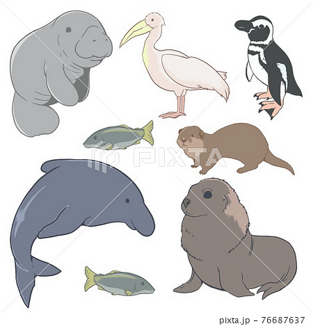 海の生き物01 76687637