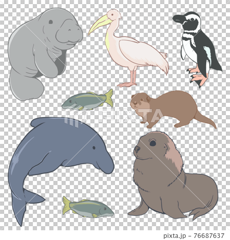 海の生き物01 76687637