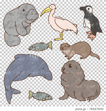 海洋生物01粗糙 76687640