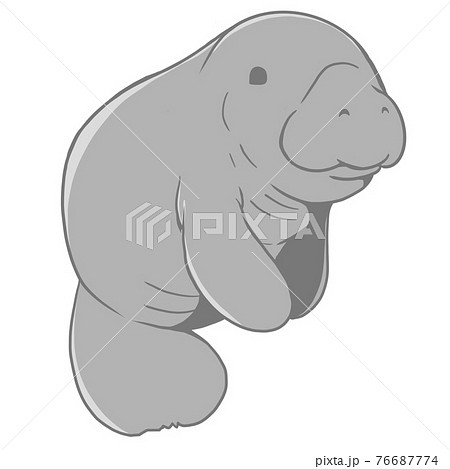 マナティ01のイラスト素材