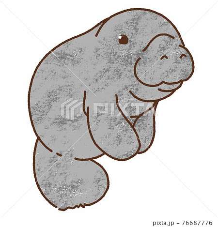 マナティ01ラフのイラスト素材