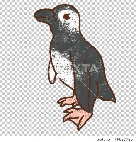 Penguins 01 Rough Penguins 01 Rough 76687780