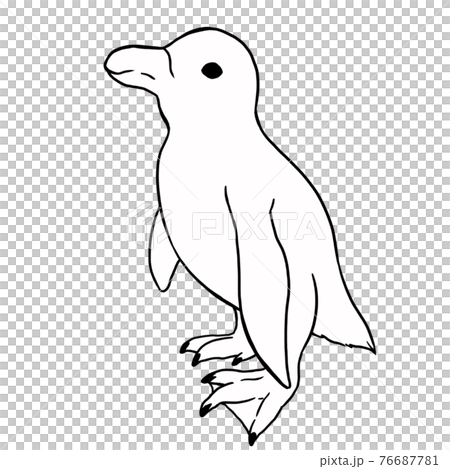 Penguins 01 line drawing Penguins 01 line drawing 76687781