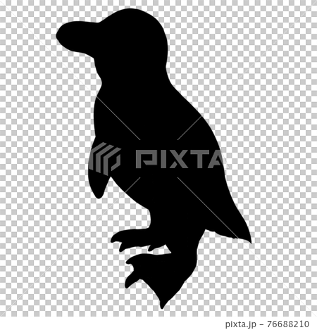 ペンギン01シルエットのイラスト素材