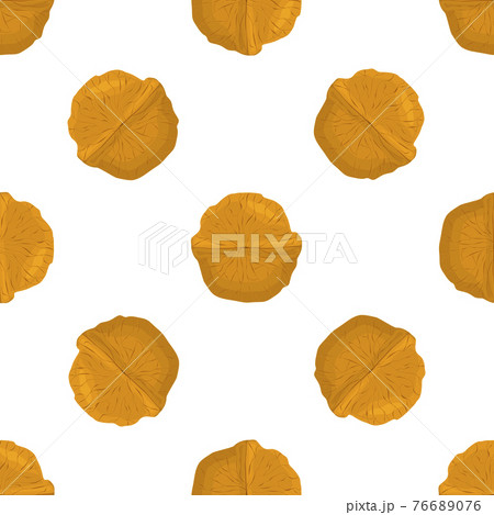 Illustration on theme big pattern identical types walnut Illustration on theme big pattern identical types walnut 76689076