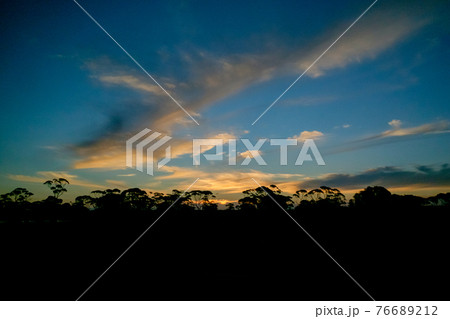 雄大なオーストラリアの開拓精神にふれる魅惑の大陸横断鉄道インディアン・パシフィック号の旅　車窓の風景 76689212