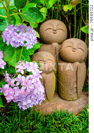 鎌倉・長谷寺の良縁地蔵とあじさい 76689722