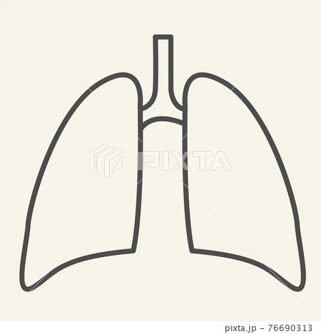Lungs thin line icon. Human internal organ outline style pictogram on white background. Respiratory lung health for mobile concept and web design. Vector graphics. Lungs thin line icon. Human internal organ outline style pictogram on white background. Respiratory lung health for mobile concept and web design. Vector graphics. 76690313