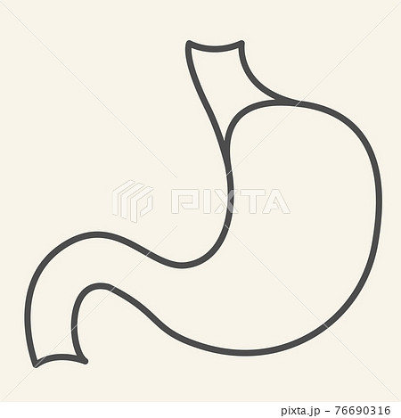 Stomach organ thin line icon. Human gastric organ outline style pictogram on white background. Medical health signs for mobile concept and web design. Vector graphics. Stomach organ thin line icon. Human gastric organ outline style pictogram on white background. Medical health signs for mobile concept and web design. Vector graphics. 76690316