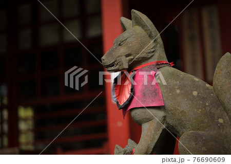 来宮神社の狐 来宮神社の狐 76690609
