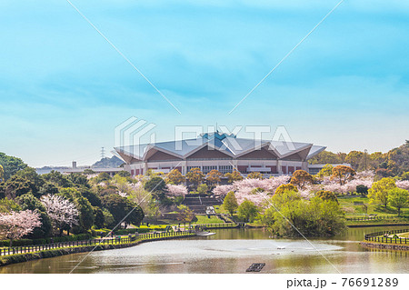 北九州のオアシス 春の福岡県営中央公園 北九州のオアシス 春の福岡県営中央公園 76691289