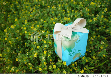 地球ギフト　グリーン 76691891