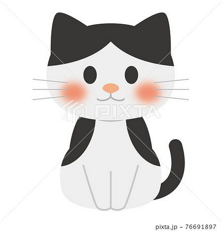 猫のイラスト ハチワレのイラスト素材 [76691897] - PIXTA