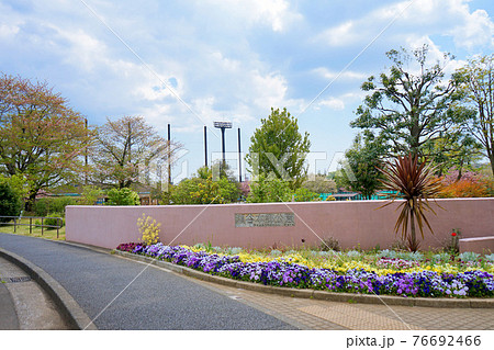 春の瀬谷本郷公園 76692466