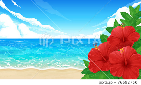 ハイビスカスの花と海の風景の背景イラスト ビーチ 16 9のイラスト素材