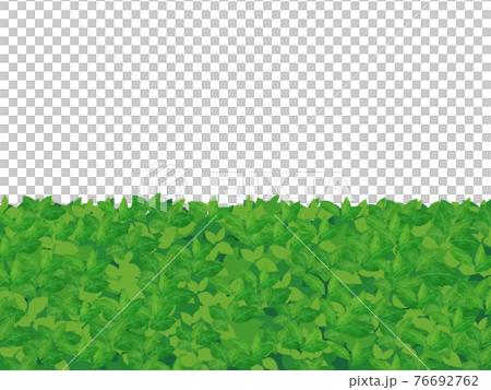 垣根のイラスト_背景素材のイラスト素材 [76692762] - PIXTA