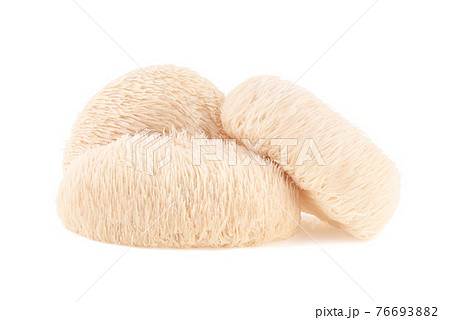 Lion mane mushroom isolated on white background. 76693882