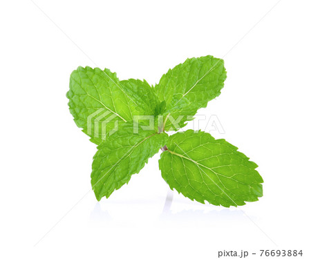 Mint leaves isolated on white background. Mint leaves isolated on white background. 76693884