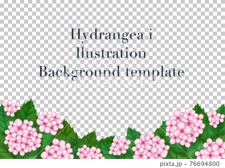 紫陽花の背景イラストのイラスト素材