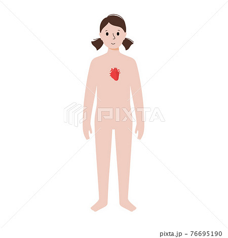 Internal organs in female body 76695190