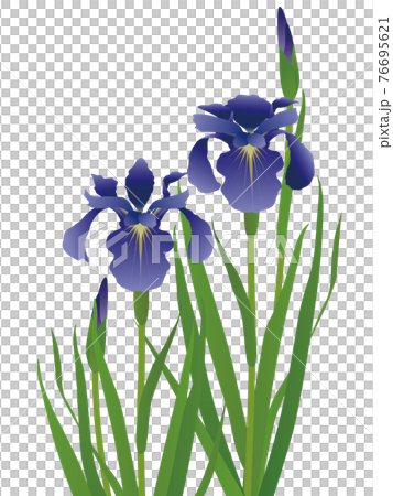 背景材料 76695621