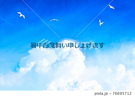 夏の空 カモメが舞う空 暑中お見舞いのイラスト素材