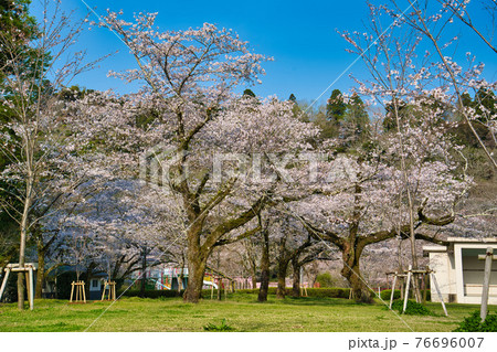 母智丘公園　R3春 76696007