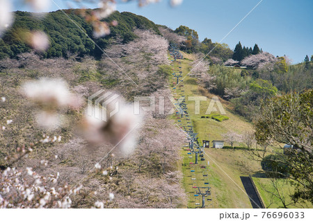 石山観音池公園 R3春 石山観音池公園 R3春 76696033