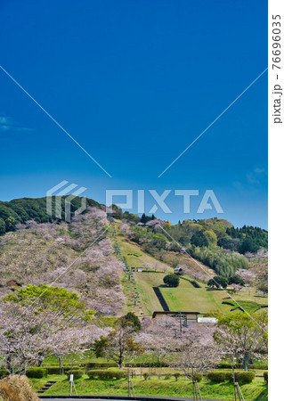 石山観音池公園 R3春 石山観音池公園 R3春 76696035
