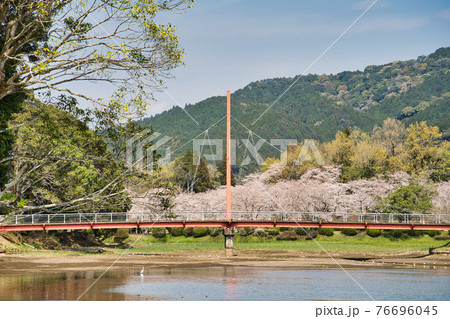 石山観音池公園 R3春 石山観音池公園 R3春 76696045