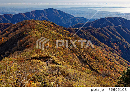 丹沢・塔ノ岳から見る紅葉の表尾根と大山・湘南の眺め 76696108