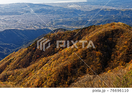 丹沢・塔ノ岳から見る紅葉の大倉尾根と秦野市街 76696110