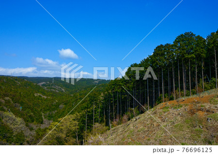 三島スカイウォークより若葉と新緑の山並みを望む　 76696125