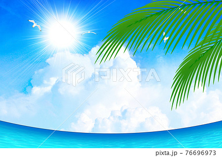 夏の空　リゾート地　カモメが舞う空 76696973