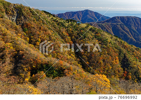 鍋割山稜から見る紅葉の大倉尾根と表尾根・大山の眺め 76696992