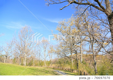 春の公園 春の公園 76697070