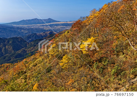 紅葉の丹沢・鍋割山稜から見る愛鷹山と御殿場市街 76697150