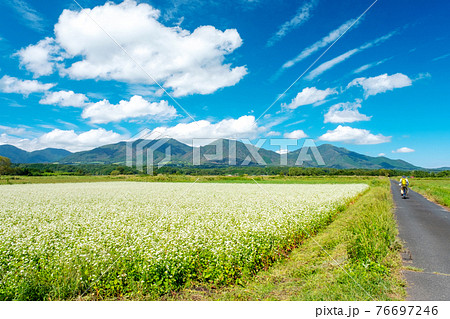 蒜山高原のソバ畑 サイクリングのイメージ 蒜山高原のソバ畑 サイクリングのイメージ 76697246