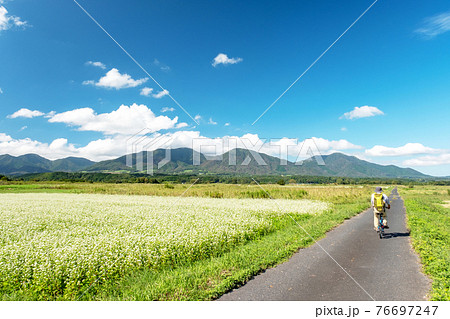 蒜山高原のソバ畑 サイクリングのイメージ 蒜山高原のソバ畑 サイクリングのイメージ 76697247