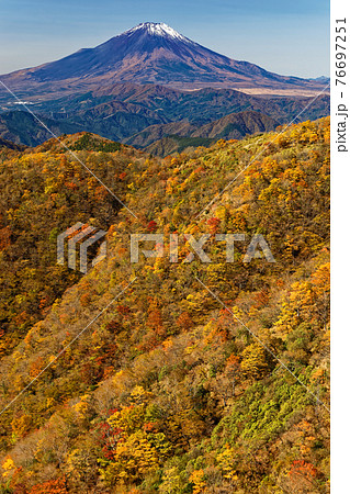 紅葉の丹沢・鍋割山と富士山 76697251