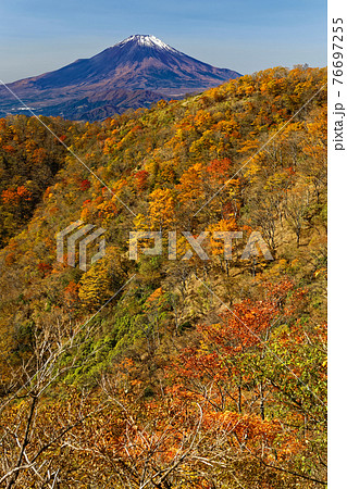 紅葉の丹沢・鍋割山と富士山 76697255