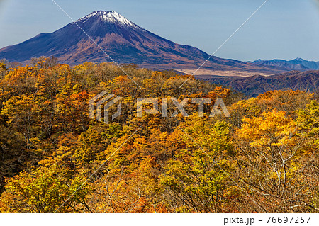 紅葉の丹沢・鍋割山と富士山 76697257