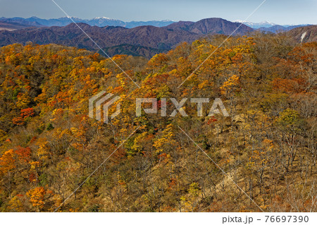 丹沢・鍋割山の紅葉と南アルプスの眺め 76697390