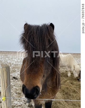 アイスランド 76697848