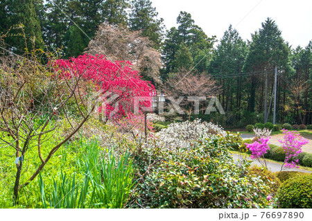 里山の春を彩る　慈光寺塔頭　霊山院　　　 76697890