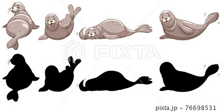 Set of seal characters and its silhouette on white background 76698531