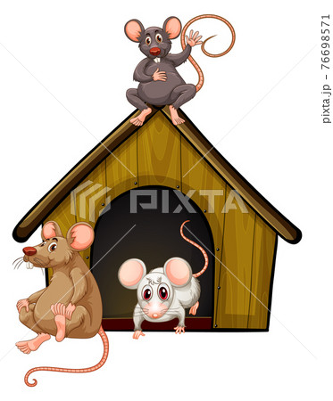 Group of cute mouses with little house isolated on white background Group of cute mouses with little house isolated on white background 76698571