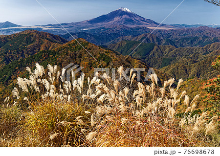 晩秋の丹沢・鍋割山から見望む富士山 76698678